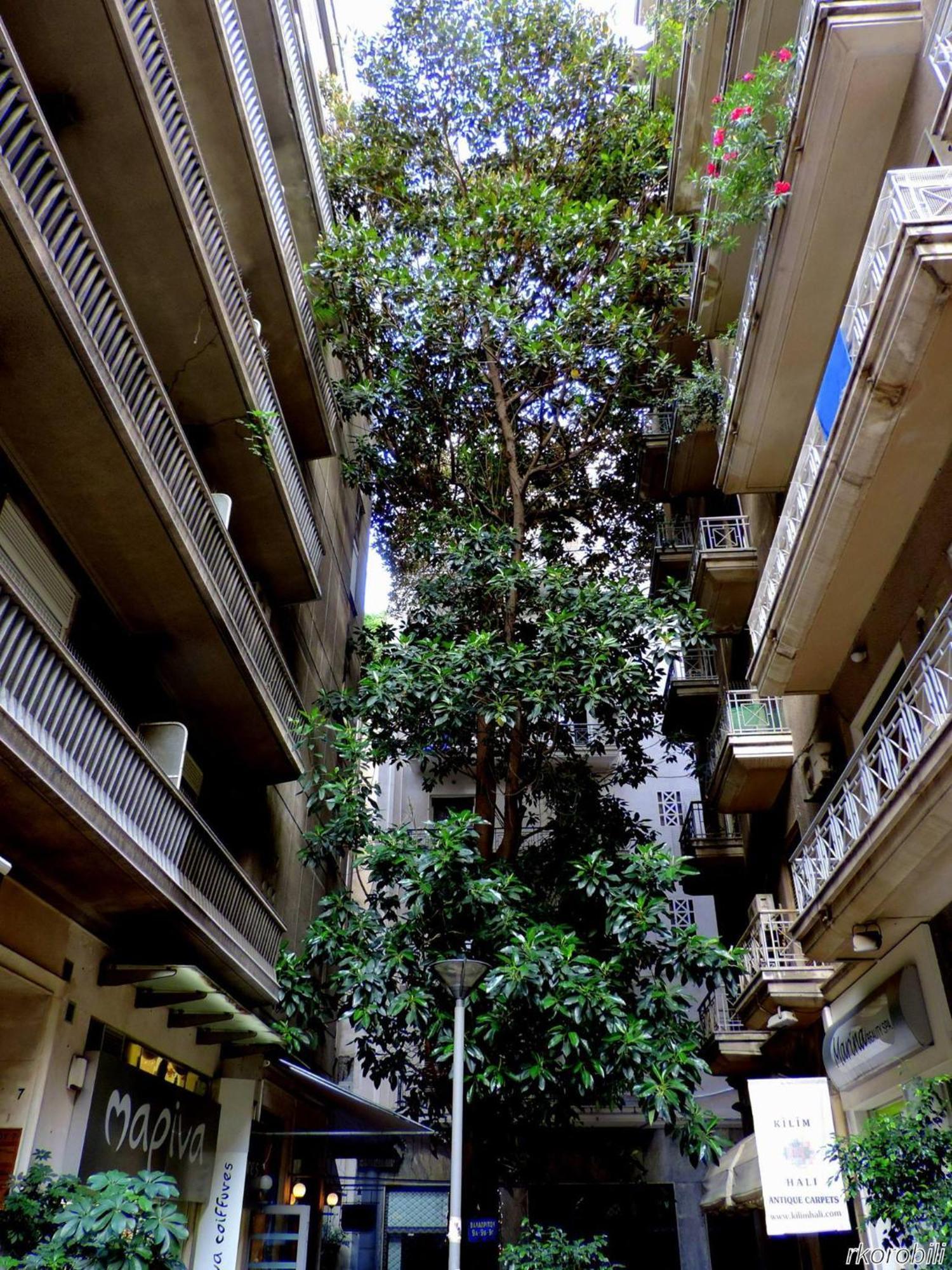 Stay At Premium Syntagma Location - Experience 1 Athènes Extérieur photo